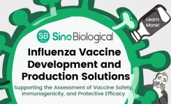 Influenza Vaccine Development and Production Solutions