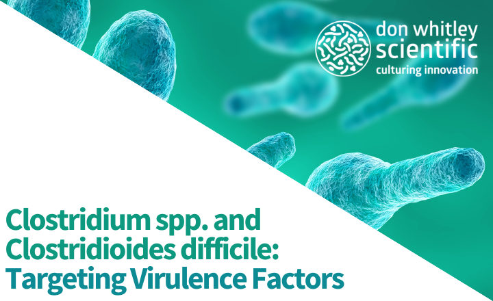 Clostridium spp and Clostridioides difficile