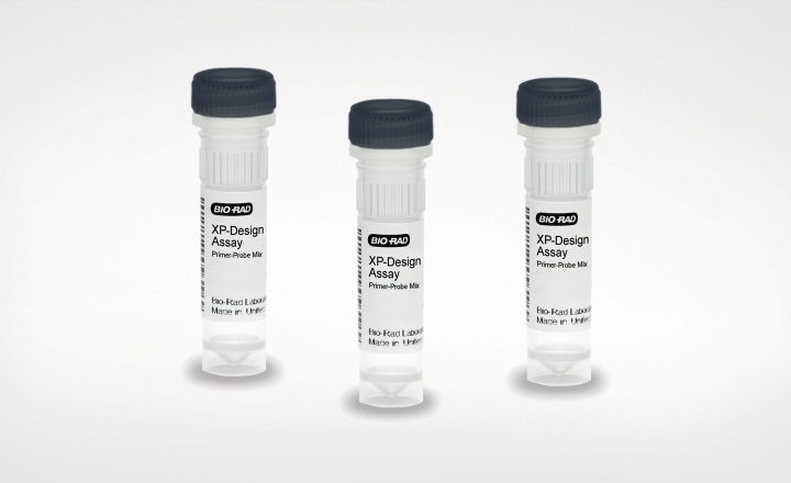 Molecular Serotyping for <em>Salmonella </em>Identification
