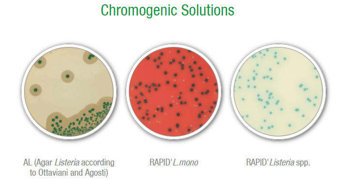 Applications de tests bactériologiques — Bio-Rad