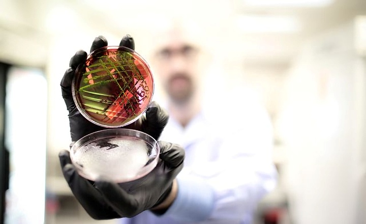 Accugenix Strain Typing: Download Case Study
