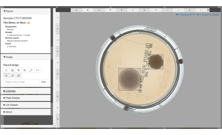 APAS Independence plate report showing colony identification on contact plate media