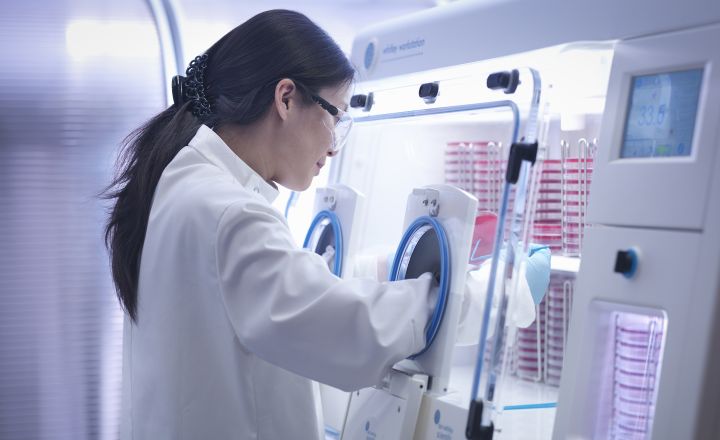 Scientist working in a Whitley Anaerobic Workstation with Instant Access Ports