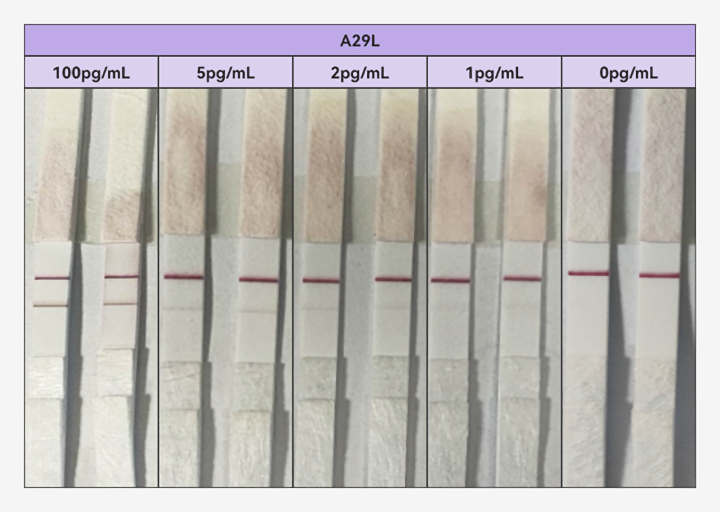 chromatography strips showing test sensitivity