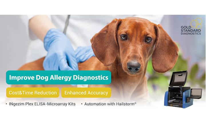 Dog Allergy Diagnostics
