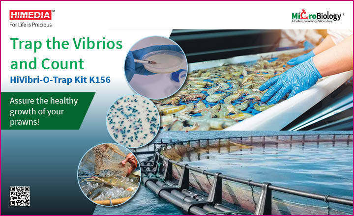 Ready to use kit for Vibrios in Aquaculture