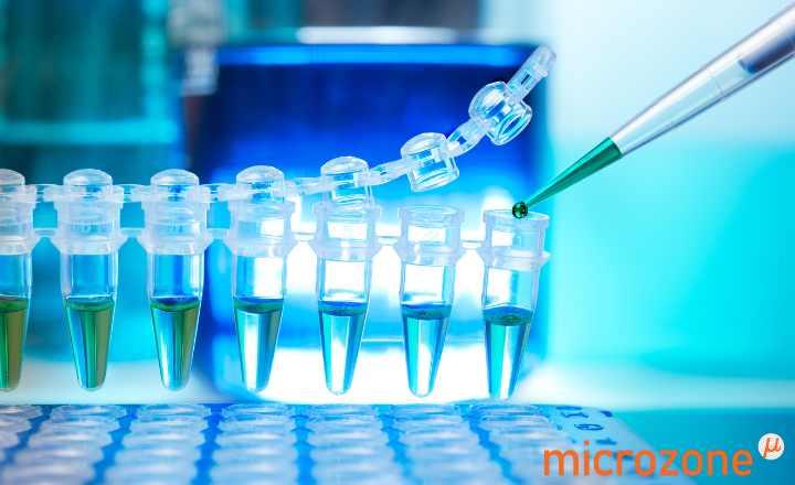 High‐resolution Melting in Microbiology: Principles, Applications and the Role of Optimised Reagents