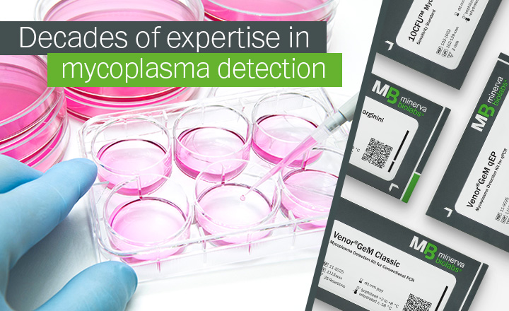 Unexplained Cell Culture Results? Hidden Mycoplasma Contamination Could Be the Cause