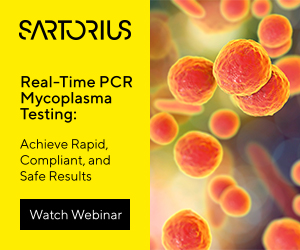 Real-Time PCR-Based Mycoplasma Testing Webinar