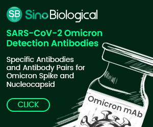 SARSCOV2 Omicron Detection Antibodies from Sino Biological