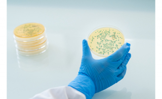 Reduce Costs and Environmental Impact of em Listeria em Testing With ALOA sup reg sup ONE DAY