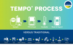 tempo vs traditional method