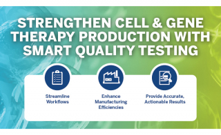 Solutions for Key Challenges in Cell and Gene Therapy Production