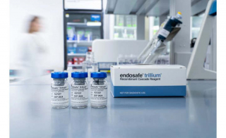 Streamlined Validation for Endotoxin Testing