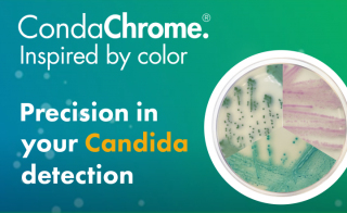 Fighting Resistance Innovative Solutions Against Resistant em Candida em 