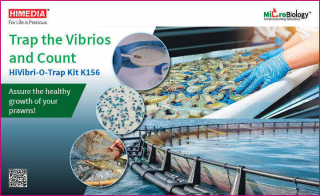 HiVibri-O-Trap Kit Capture and Count nbsp Vibrios in Aquaculture