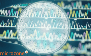 Simplify 16S Sequencing Workflows Microzone s Eco-friendly Cell2Seq 16S rRNA Kit Has You Covered