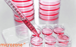 MycoDetect - Mycoplasma Detection Kit