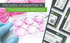 Mycoplasma detection with Minerva Biolabs PCR kits