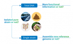 Figure illustrating our sequencing services