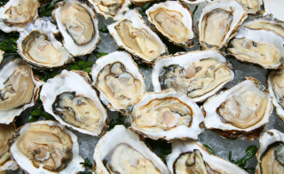 Primerdesign Launches Real-time PCR Workflow for Onsite Detection of Norovirus in Oysters