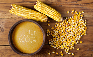 Corn Gluten Meal CGM An In-depth Look at Its Importance and Mycotoxin Testing Challenges