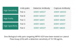 Accelerate Mpox Research With Sino Biological MPXV Proteins and Antibodies