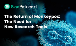 Accelerate Mpox Research With Sino Biological MPXV Proteins and Antibodies