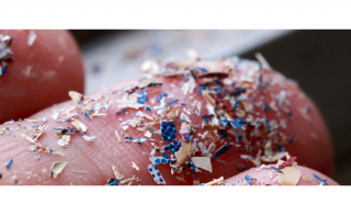 Introducing the World rsquo s First Microplastics Reference Materials